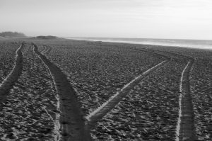 Paths in the sand