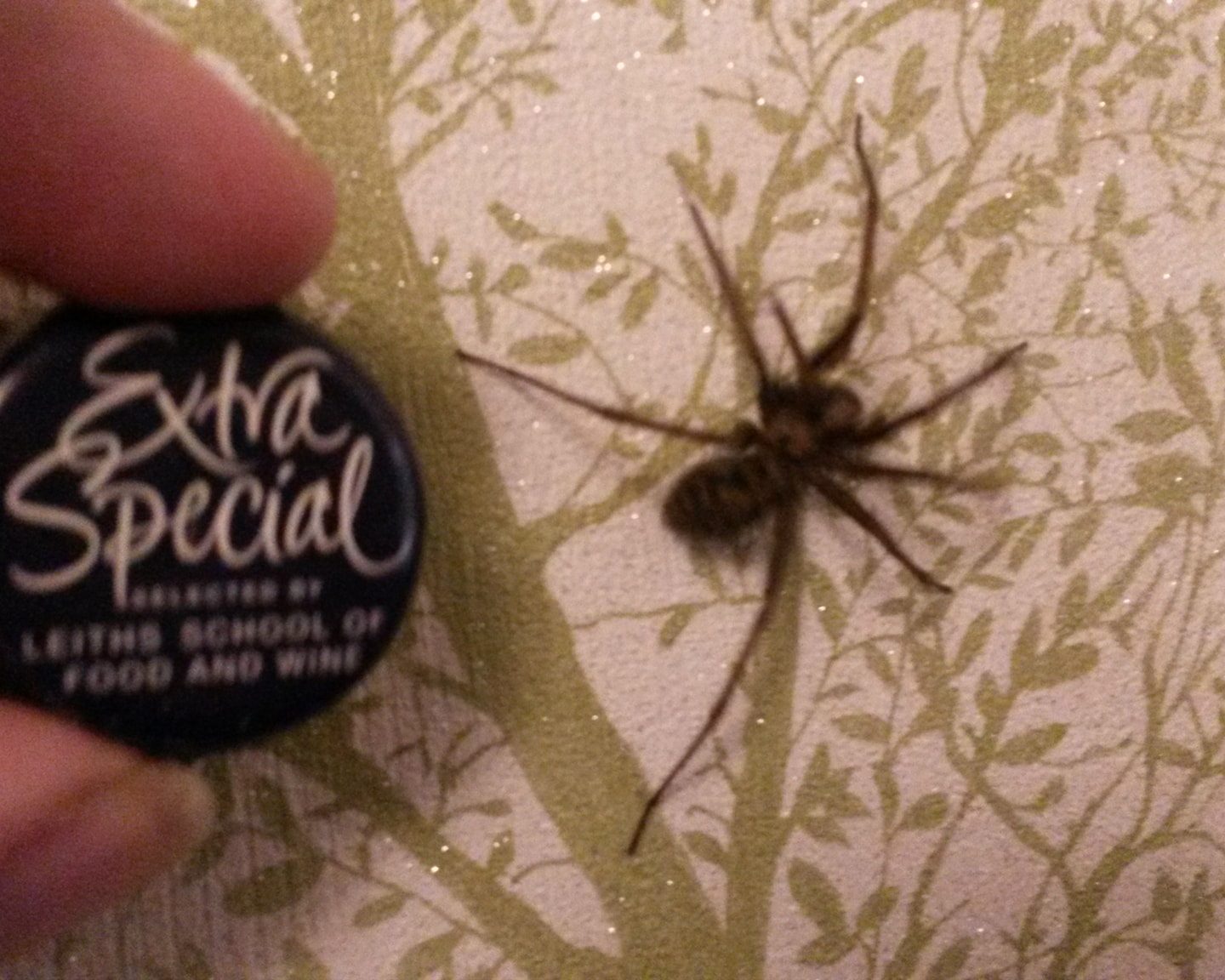 Not writer’s block