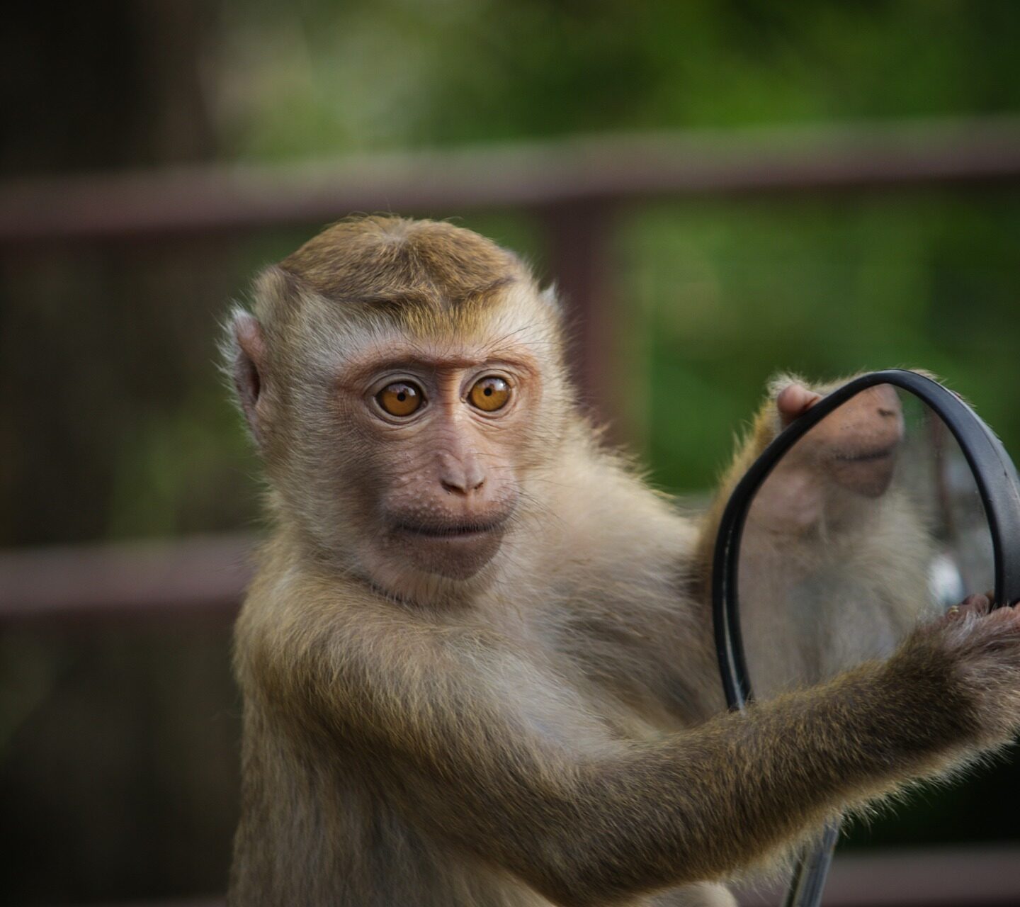 Body dysmorphia and me